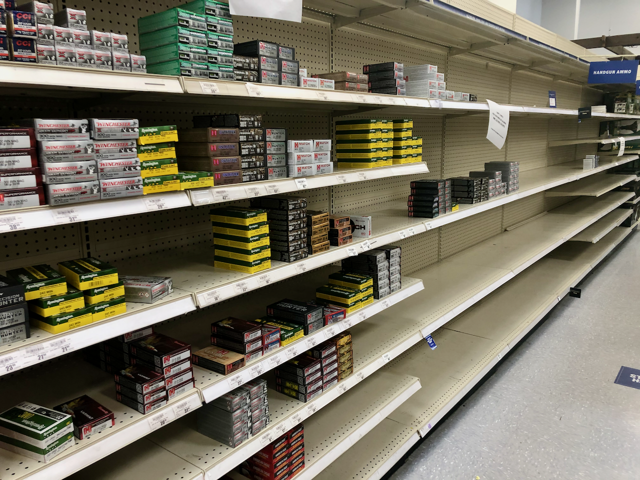 How Much Ammo Is Enough [in 2021]?