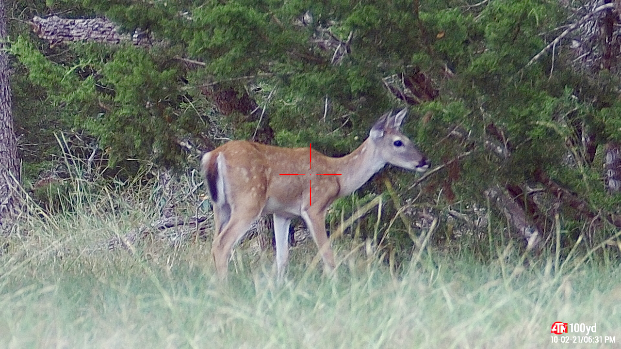 Repurposing the Daniel Defense DD5 for Hogs, Episode III