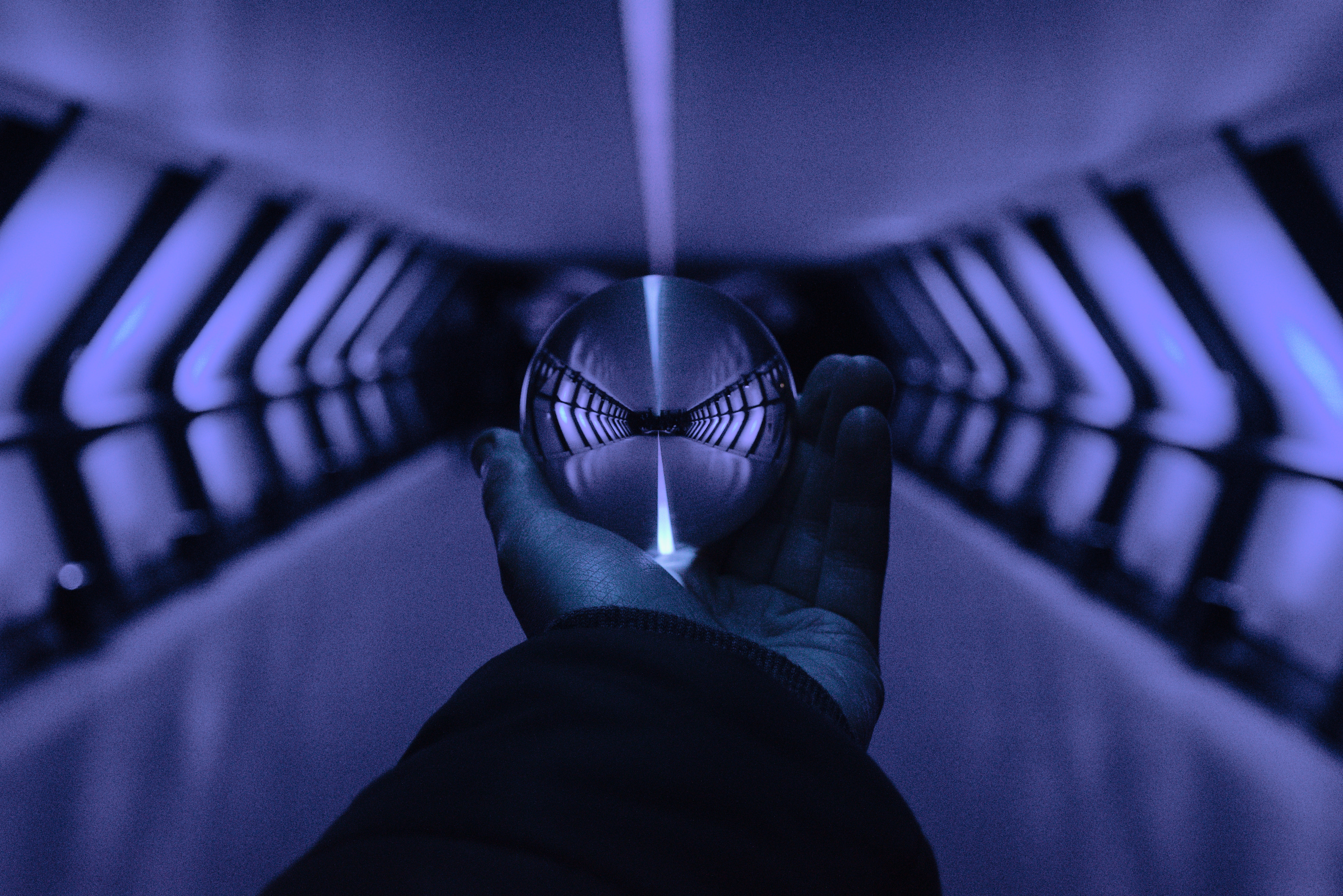 Looking Forward to 2024